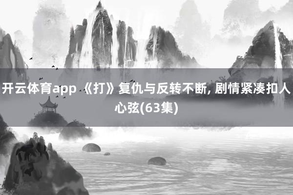 开云体育app 《打》复仇与反转不断, 剧情紧凑扣人心弦(63集)