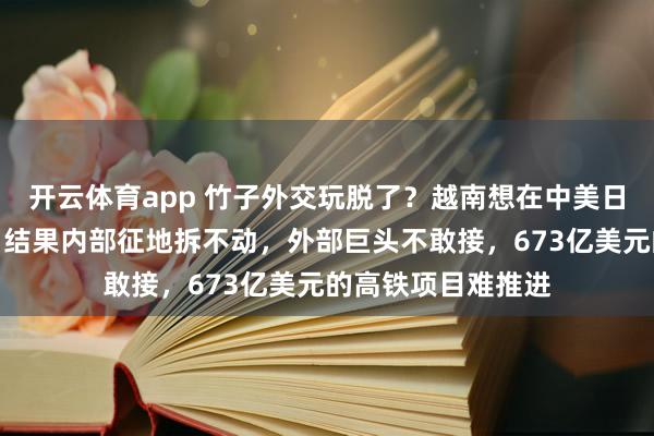 开云体育app 竹子外交玩脱了？越南想在中美日欧之间占尽便宜，结果内部征地拆不动，外部巨头不敢接，673亿美元的高铁项目难推进