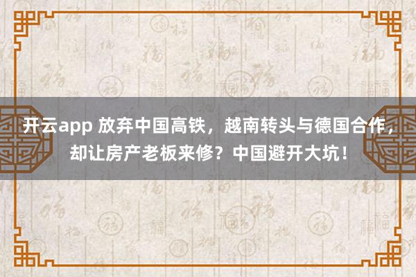 开云app 放弃中国高铁,越南转头与德国合作,却让房产老板来修?中国避开大坑!