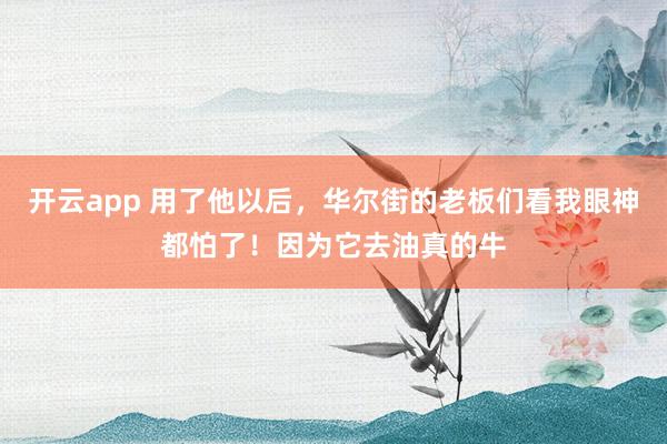 开云app 用了他以后,华尔街的老板们看我眼神都怕了!因为它去油真的牛