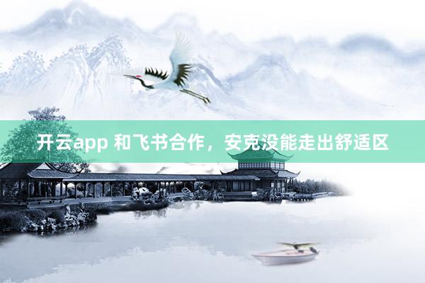 开云app 和飞书合作,安克没能走出舒适区