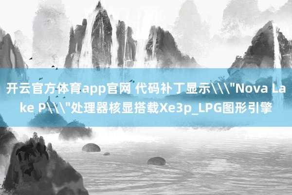 开云官方体育app官网 代码补丁显示\