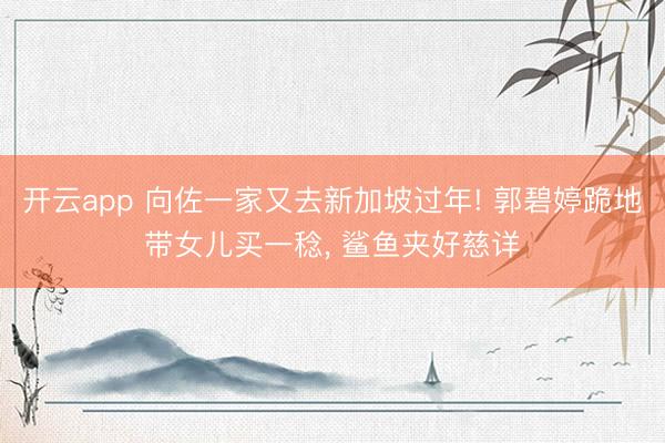 开云app 向佐一家又去新加坡过年! 郭碧婷跪地带女儿买一稔， 鲨鱼夹好慈详