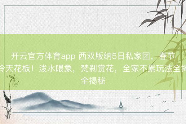开云官方体育app 西双版纳5日私家团,春节避冷天花板!泼水喂象,梵刹赏花,全家不累玩法全揭秘