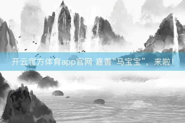 开云官方体育app官网 嘉善“马宝宝”,来啦!
